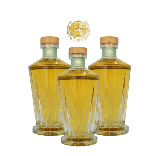 Mezcal Delirio de Oaxaca Añejo Paq 3